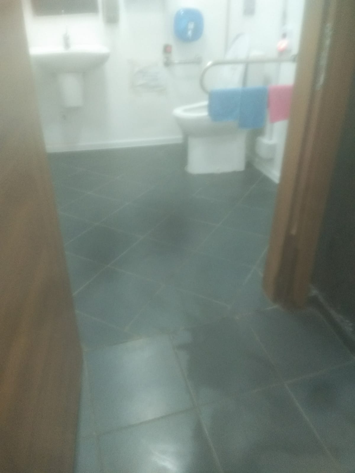Genel Proje - Sağlık Hizmetleri 1
